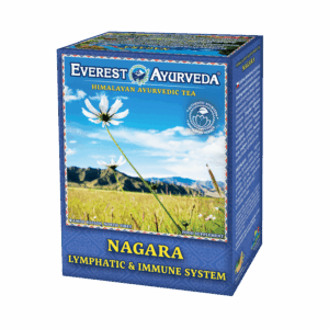caj_nagara Nagara Herbatka Ajurwedyjska Układ limfatyczny & odporność
