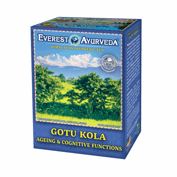 gotu-kola Gotu Kola Herbatka Ajurwedyjska Starzenie się funkcji mózgu